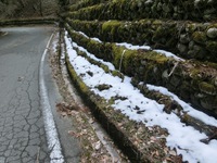 残雪