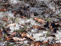 鶴ヶ池の残雪