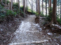 路面の残雪