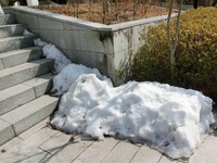 残雪