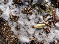 鶴ヶ池の残雪