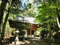 随身門手前の新緑