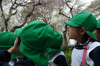 つき４・５組　浜松城公園に行ったよ！