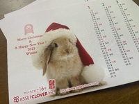 Merry  Christmas & A  Happy  New  Year 2023 2022/12/22 09:20:35