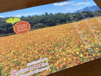秋のお便り！ 2020/10/05 17:39:42