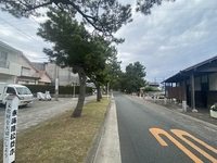 旧東海道松並木の入り口に 2022/05/25 10:04:04