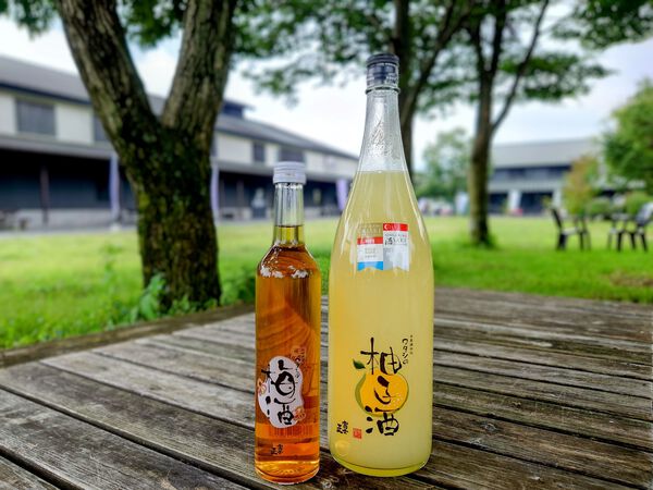 朝霧高原の食のフードパーク ～あさぎりフードパーク ～