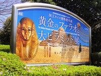 静岡県立美術館に行ってきました。『黄金のファラオと大ピラミッド展』開催中ですね。
