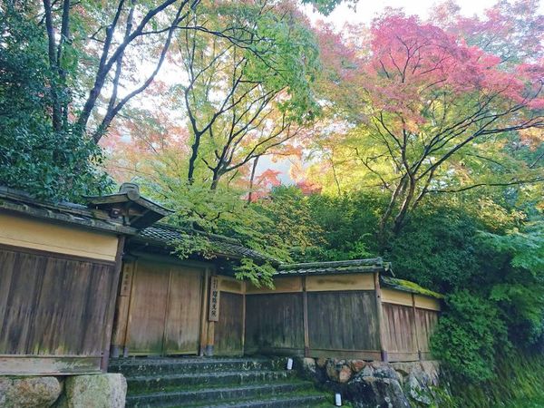 2020 秋の京都 『瑠璃光院（京都市左京区）』 GOTO利用で行ってきました。
