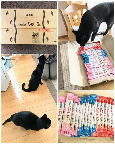 Amazonちゅーるのタイムセール祭り ♪