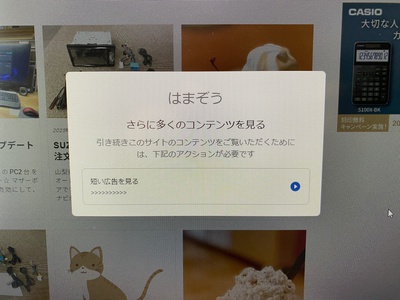 はまぞう  の終焉か…