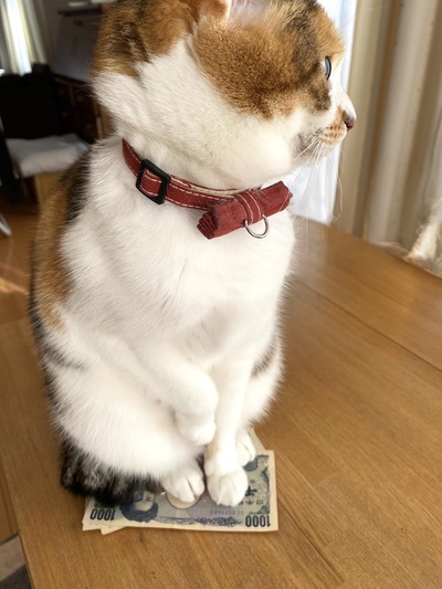 そこに座るかっ！！