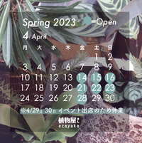 ★Spring2023  4〜6月　営業カレンダー 2023/04/27 17:08:30