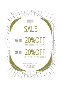 ★秋の営業22(日)まで！植物と雑貨のSALEやってます☺️ 2024/12/20 16:43:00