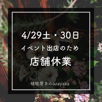 ★ 4/29(土)30(日) イベント出店のため 店舗休業となります。 2023/04/22 19:57:38