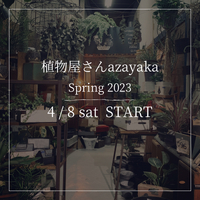 ★azayaka Spring2023＊4/8土　START 2023/03/27 16:35:45