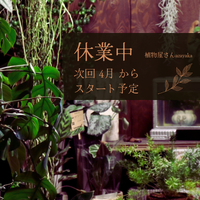 ★休業中‼︎次回4月ごろスタート！ 2025/02/14 18:30:00