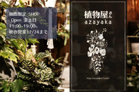 ★秋の営業あと2週　12/24まで 2023/12/15 17:51:02