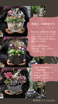★寄植えご依頼ありがとうございます 2023/12/09 10:13:35