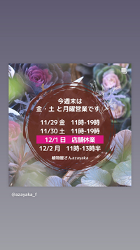 ★12/1(日)臨時休業 2024/11/30 19:49:31