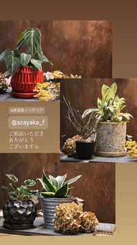 ★お店用ディスプレイのご相談。 2024/06/06 11:12:21