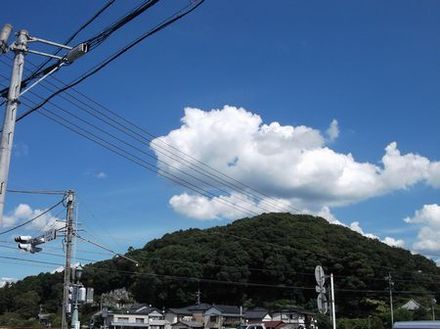 くじら？
