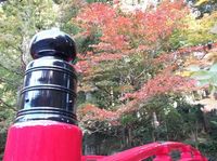 小国神社 2012/11/16 10:02:35