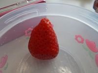大晦日 2012/12/31 12:57:17