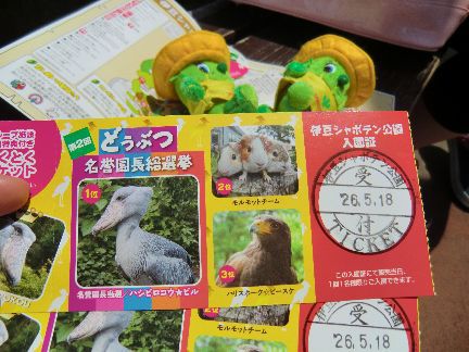 伊豆旅行