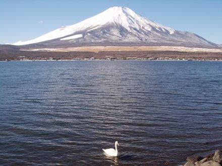 きれい！