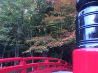 小国神社 2014/11/14 10:37:05