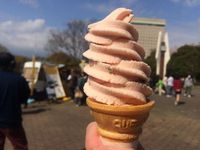 浜松城 2015/04/03 11:51:31