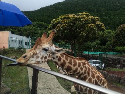 東伊豆！
