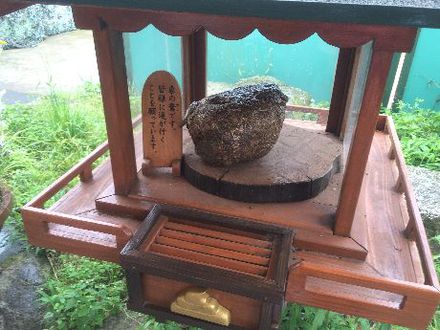 東伊豆！