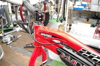ＭＯＮＴＹ　221　ＫＡＭＥＬ　入荷。