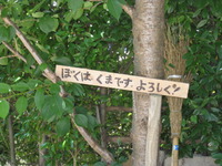 常滑