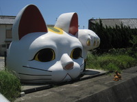常滑