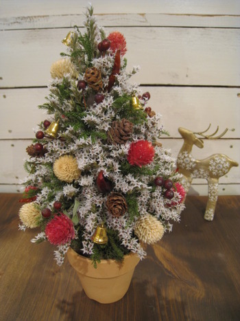 ﾄﾞﾗｲﾌﾗﾜｰでｸﾘｽﾏｽﾂﾘｰを作ろう！