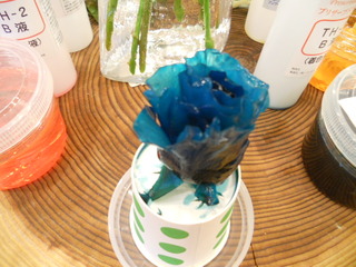 プリザ観察日記③～エミーコ先生のプリザ講座～
