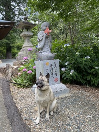 明日日曜日も朝8時半オープン!!＆先日のお出かけ｢普門寺｣