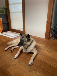今日も通常営業デイです!!＆ナイト元気です!!