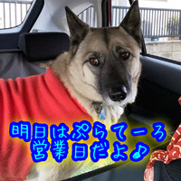 金曜日はレーズン酵母パンの日!!＆おかずパンにニューフェイス!!