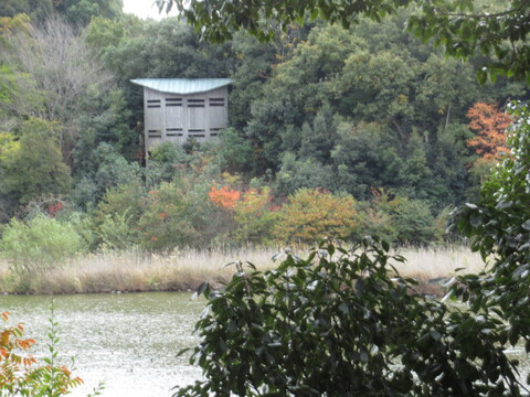 桶ケ谷沼