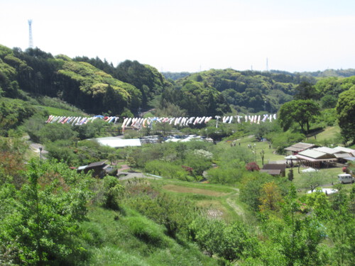 新野左馬之助（新野親矩）