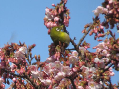 みどり～な