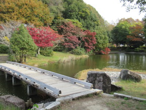 佐鳴湖の紅葉
