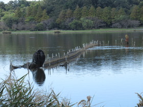 佐鳴湖のんびり一周