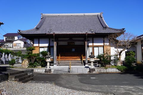 省光寺の大イチョウ