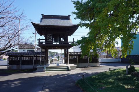 省光寺の大イチョウ