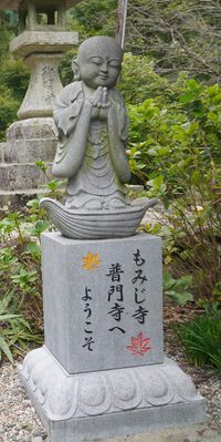 普門寺とアサギマダラ 2024/11/08 13:15:45